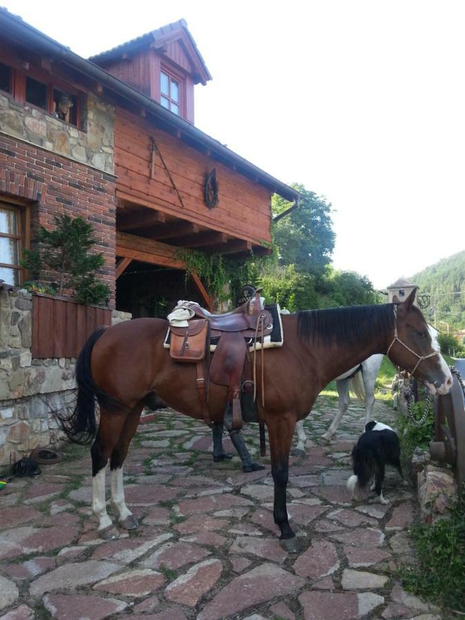 Ubytovani Steak-Hredle Buitenkant foto